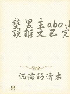 双男主abo小说推文已完结