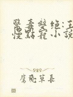 医毒双绝:王爷慢点宠小说