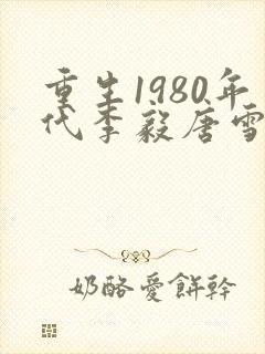 重生1980年代李毅唐雪