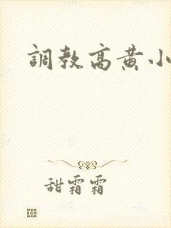 调教高黄小说