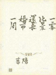 一婚还比一婚高周市长晨雾的光