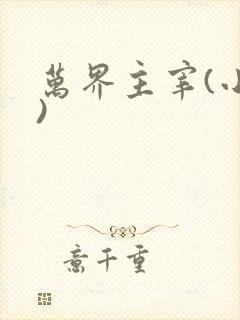 万界主宰(小说)