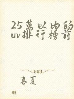 25万以内的suv排行榜前十名