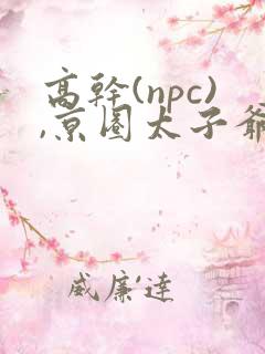 高干(npc),京圈太子爷