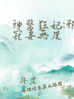 神医狂妃:邪王宠妻无度