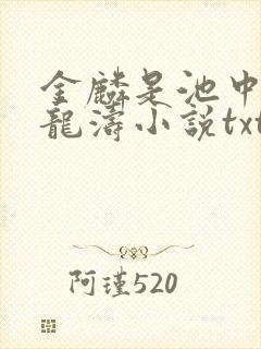 金麟是池中物侯龙涛小说txt