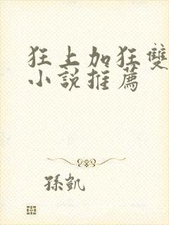 狂上加狂双男主小说推荐