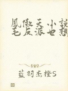 凤傲天小说里黄毛反派也想要幸福