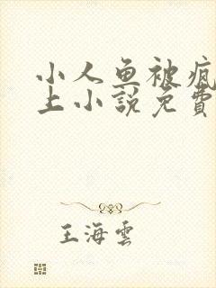 小人鱼被疯子盯上小说免费阅读全文