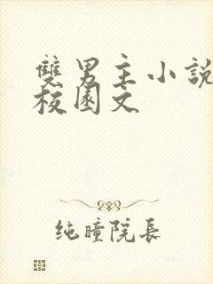 双男主小说甜文校园文