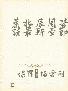 叶北辰周若妤小说最新章节