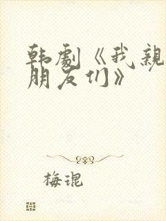 韩剧《我亲爱的朋友们》