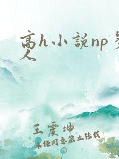 高h小说np多人