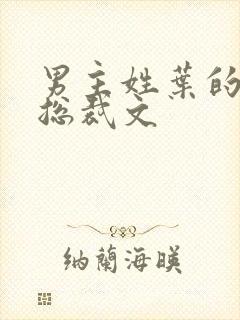 男主姓叶的小说总裁文