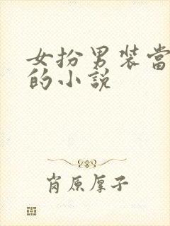 女扮男装当皇上的小说