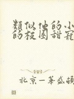 类似他的小仙女的校园甜宠文