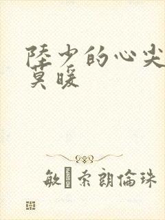 陆少的心尖宠妻莫暖