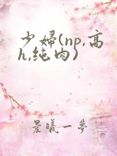 少妇(np,高h,纯肉)