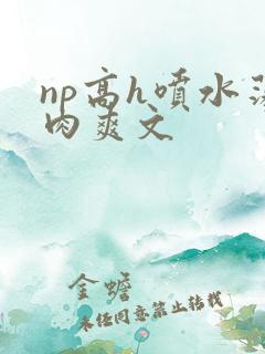 np高h喷水荡肉爽文
