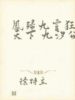 凤归九霄狂妃逆天下 九汐公子