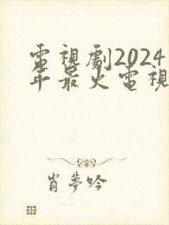 电视剧2024年最火电视剧