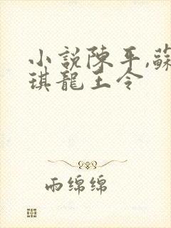 小说陈平,苏雨琪龙王令