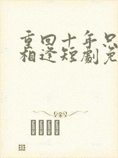 重回十年只为不相逢短剧免费观看