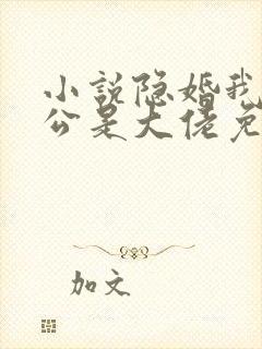 小说隐婚我的老公是大佬免费阅读