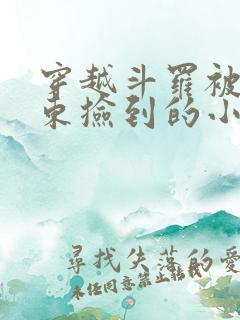 穿越斗罗被比比东捡到的小说