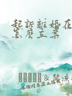 起诉离婚在网上怎么立案