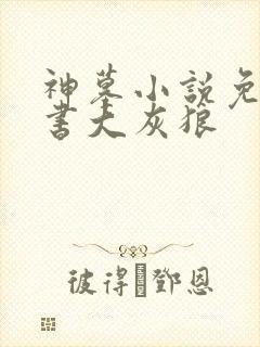 神墓小说免费听书大灰狼