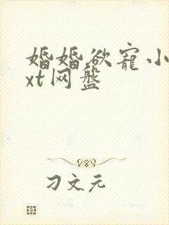 婚婚欲宠小说txt网盘