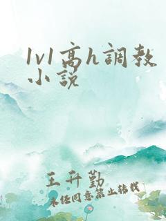 1v1高h调教小说