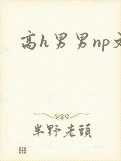 高h男男np文