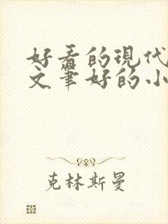 好看的现代言情文笔好的小说