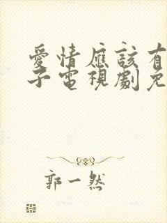 爱情应该有的样子电视剧免费看