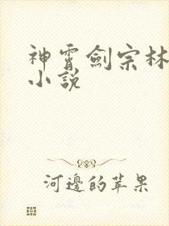 神霄剑宗林枫的小说