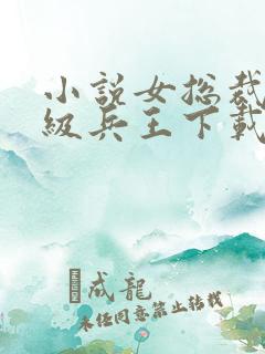 小说女总裁的超级兵王下载