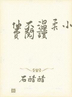 他不温柔小说免费阅读