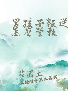 男孩子叛逆期该怎么管教