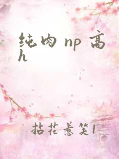 纯肉 np 高h