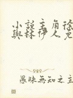 小说主角徐文东与林伊人免费阅读