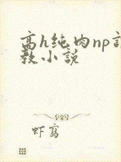 高h纯肉np调教小说