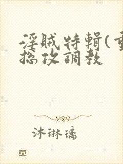 淫贼特辑(重口总攻调教