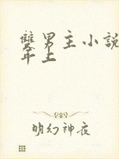 双男主小说推荐年上