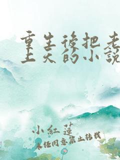 重生后把老公宠上天的小说