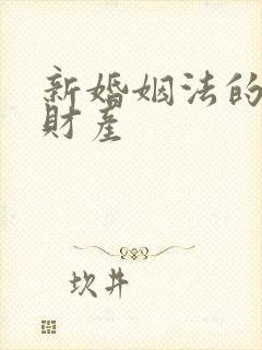 新婚姻法的婚前财产