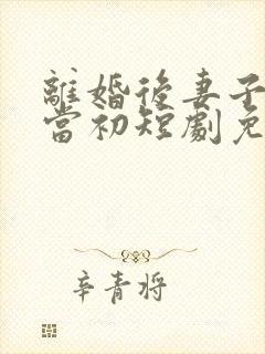 离婚后妻子悔不当初短剧免费观看