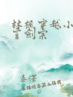 林枫穿越小说神霄剑宗