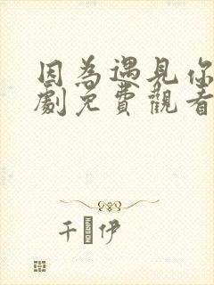 因为遇见你电视剧免费观看完整版在线观看